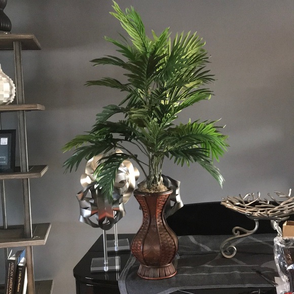 Palm Tree Plant in basket